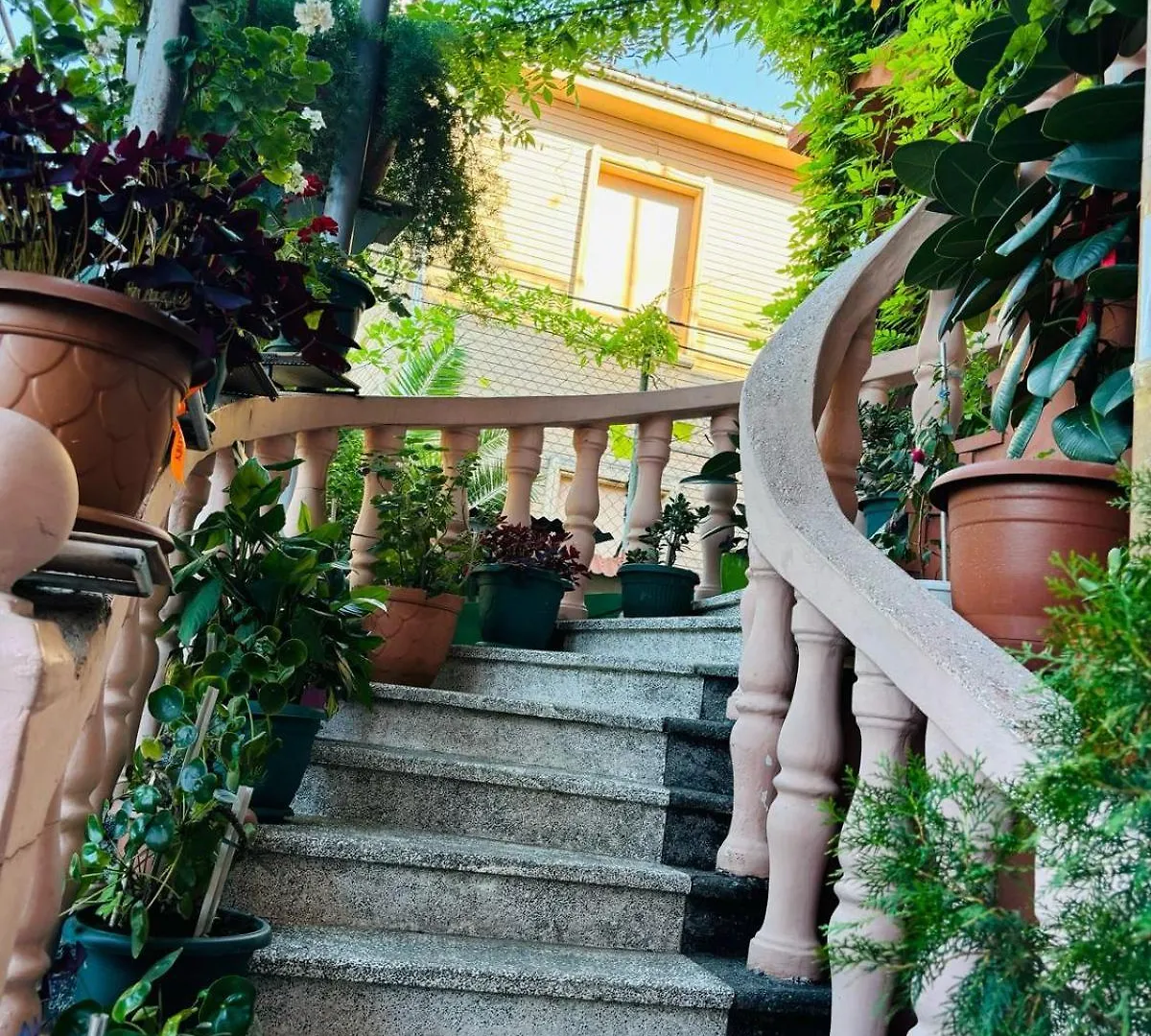 Nikas Guest House Batumi 0*,